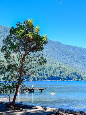 Brilliant blue water of Lake Crescent